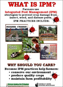 ipmposter